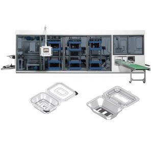 Recipiente plástico bandejas de máquina para termoformagem