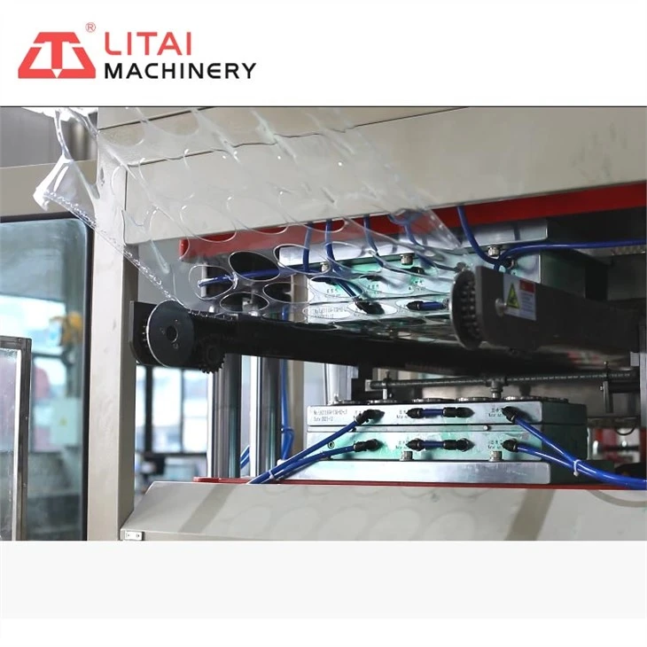 PP Dish Making Machine